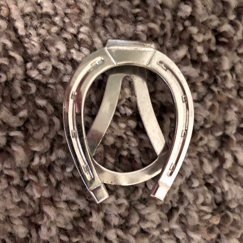 Horse Shoe Clip